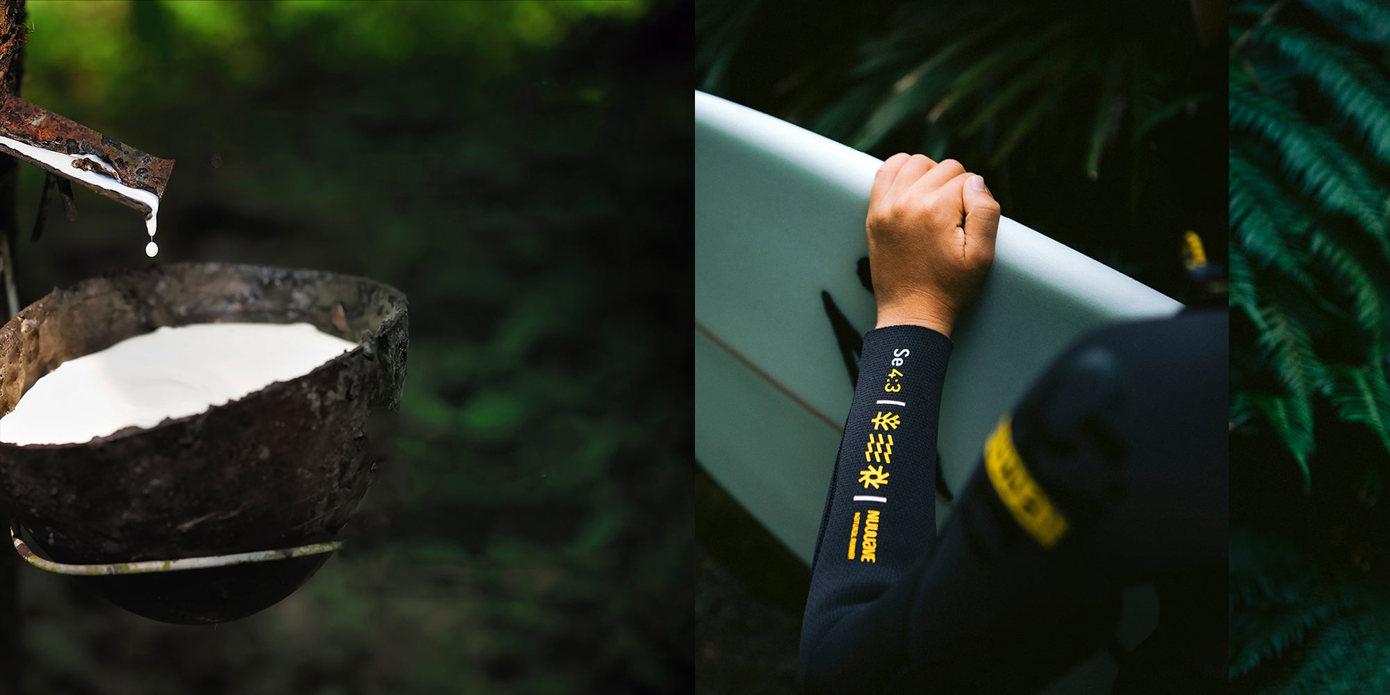 The Rise of Natural Rubber in Surfing