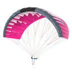 C15:purple/dark-greyPink