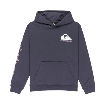 Quiksilver Omni Logo Hoodie (Ksh0)