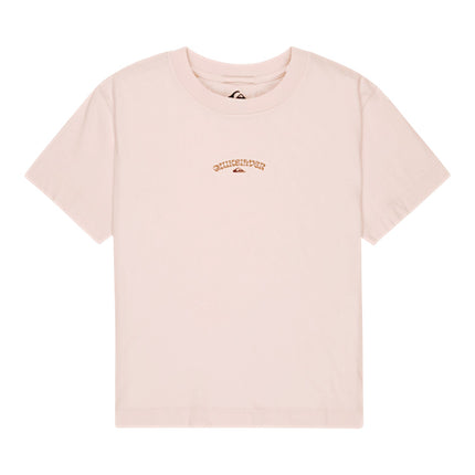Quiksilver Standard Ss Tee (Mch0)