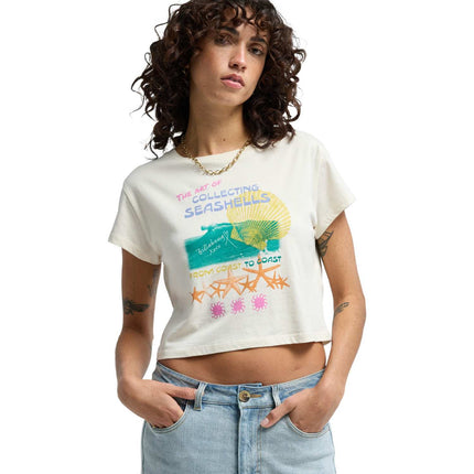 Billabong Coastal Adventure (Wcp)