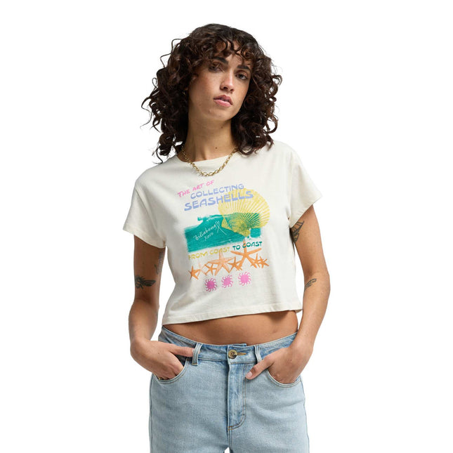 Billabong Coastal Adventure (Wcp)