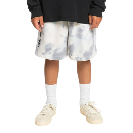 Quiksilver Diamond Heritage Sfv6