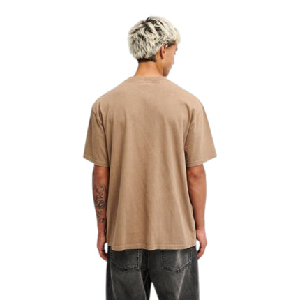 Quiksilver Guana SS Tee (TND0)